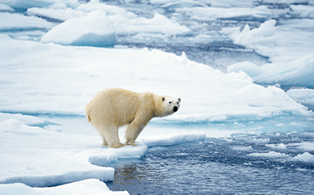 地球温暖化　北極海に深刻な影響イメージ2