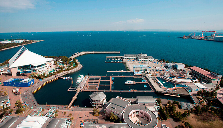 持続可能な新しい水族館のカタチを目指して。「横浜・八景島シーパラダイス」の取組みを紹介します！