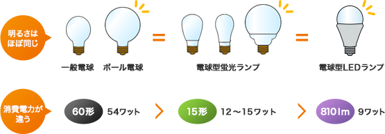一般電球と電球形蛍光ランプの比較