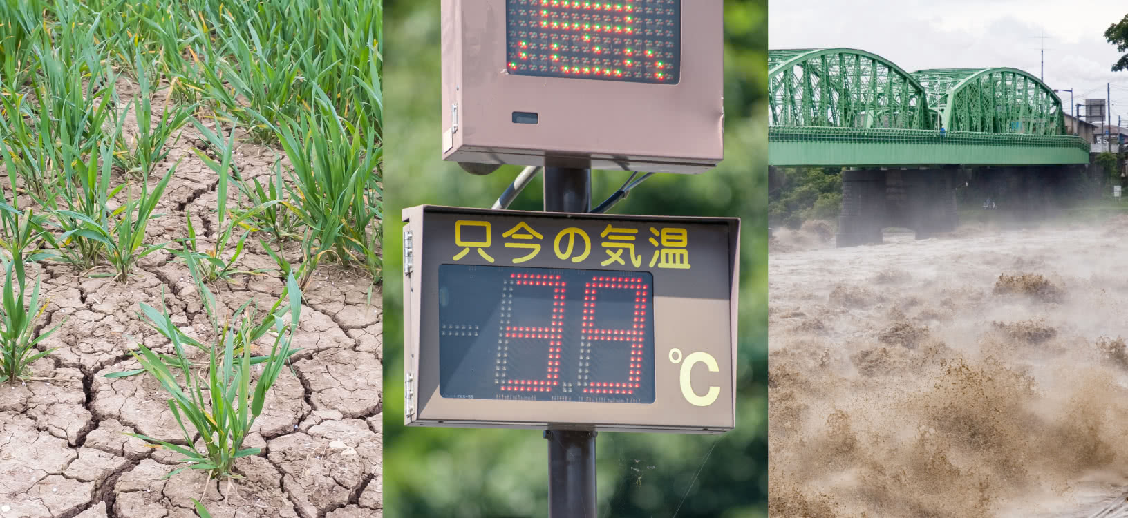 2025年夏の記録的高温の要因とは？気象庁異常気象分析検討会の分析結果を解説