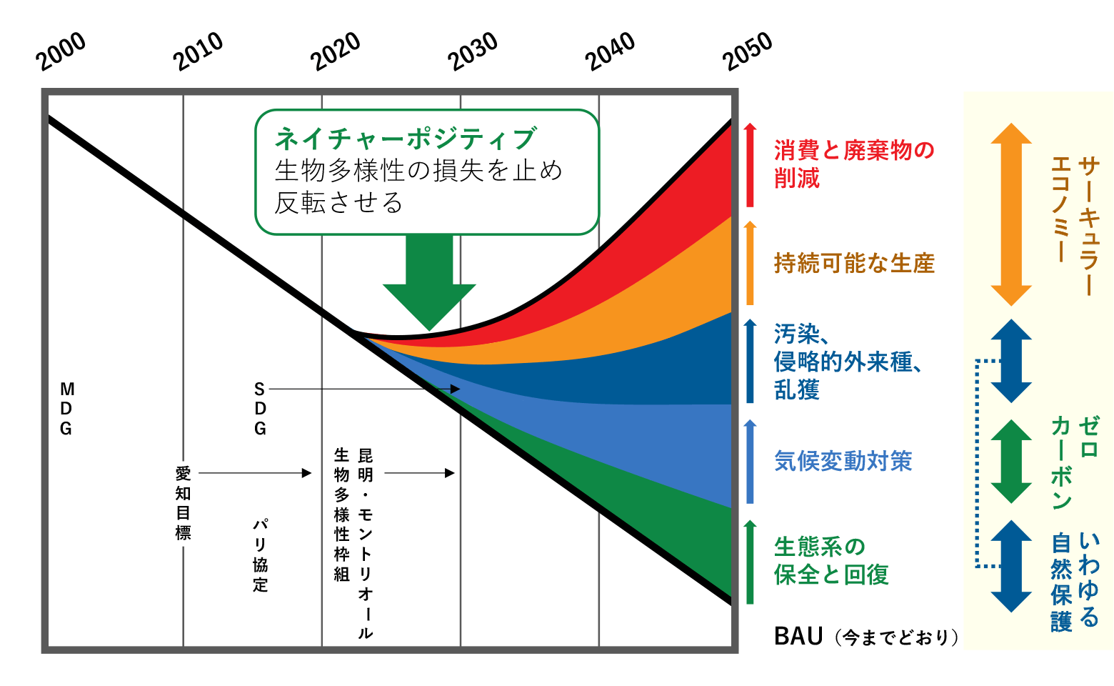 生物多様性の損失を止め反転させる「ネイチャーポジティブ」実現のためには、いわゆる自然保護の「生態系の保全と回復」や「汚染、侵略的外来種、乱獲への対策」、ゼロカーボン等での「気候変動対策」、サーキュラーエコノミー等での「持続可能な生産」や「消費と廃棄物の削減」といった行動を推進する。