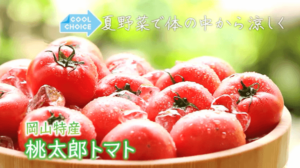 体を冷やす効果があると言われている夏野菜を活用しました。岡山県特産の真っ赤で新鮮な「桃太郎トマト」にかじりつくシーンが印象的です。