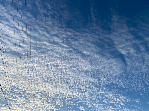 うろこ雲(巻積雲)(佐々木さん提供)