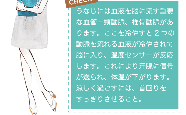 CHECK!うなじには血液を脳に流す重要な血管－頸動脈、椎骨動脈があります。ここを冷やすと2つの動脈を流れる血液が冷やされて脳に入り、温度センサーが反応します。これにより汗腺に信号が送られ、体温が下がります。涼しく過ごすには、首回りをすっきりさせること。