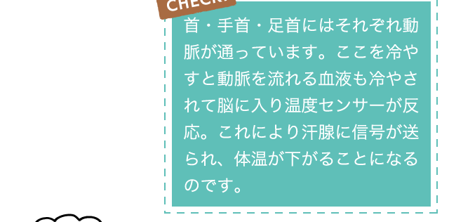 CHECK!首・手首・足首にはそれぞれ動脈が通っています。ここを冷やすと動脈を流れる血液も冷やされて脳に入り温度センサーが反応。これにより汗腺に信号が送られ、体温が下がることになるのです。