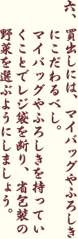 買出しには、マイバッグやふろしきにこだわるべし。マイバッグやふろしきを持っていくことでレジ袋を断り、省包装の野菜を選ぶようにしましょう。