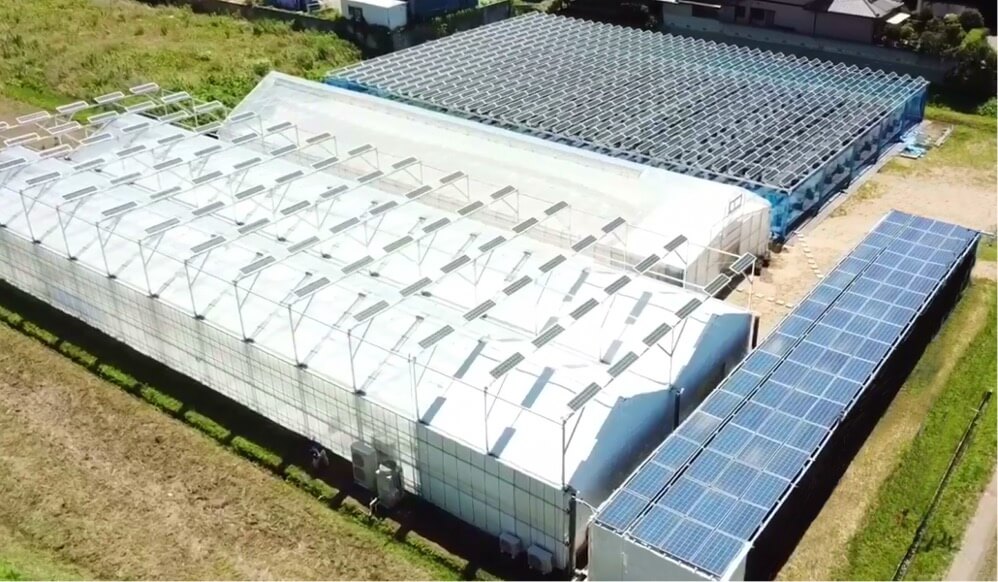 広がるソーラーシェアリングの可能性！未来型試験農園SUNファーム市原の取組みを紹介します。