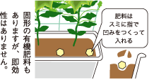 肥料のあげ方
