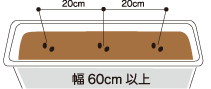 直接プランターに種を撒く場合
